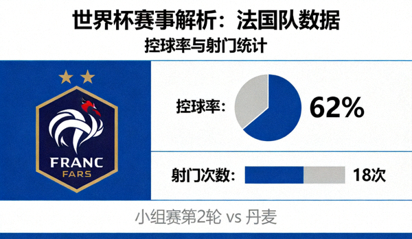 世界杯赛事解析 法国队数据 控球率射门
